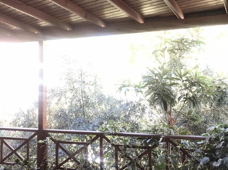 スタンダードルーム, Akay