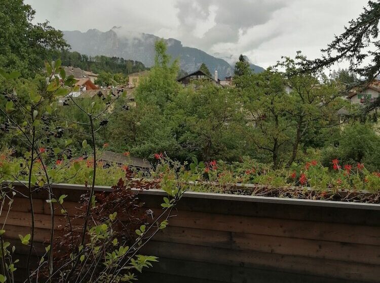 수피리어 룸, Azalea Park