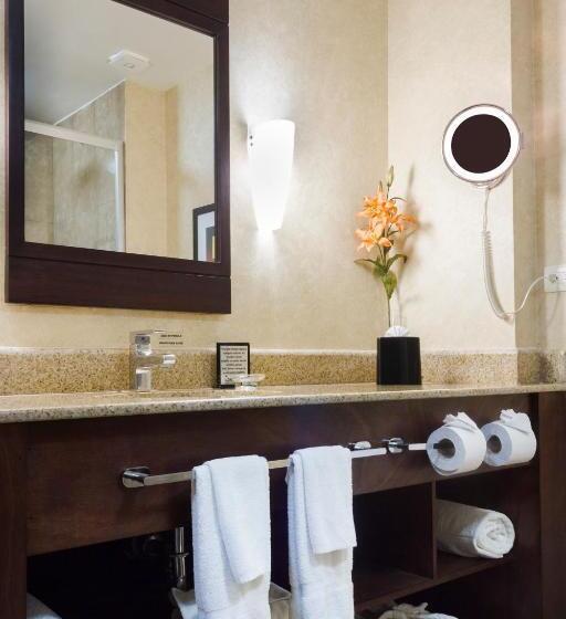 اتاق استاندارد, Best Western Premier Monterrey Aeropuerto