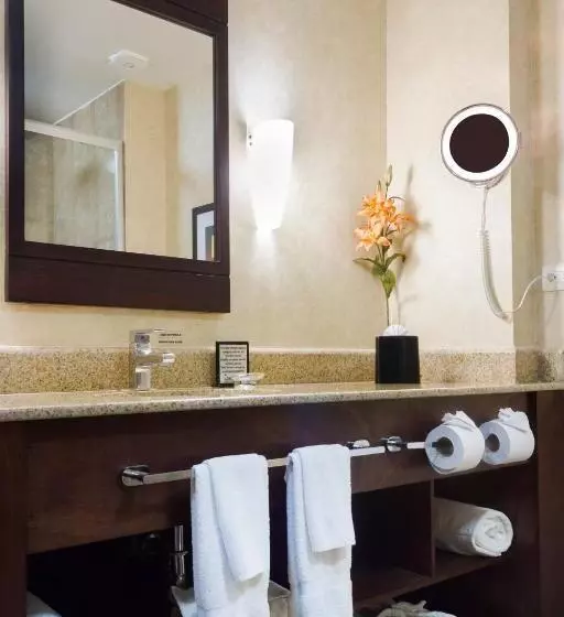 اتاق استاندارد, Best Western Premier Monterrey Aeropuerto