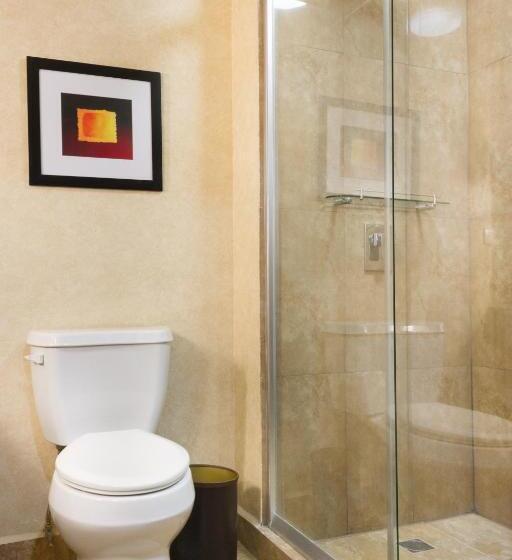 اتاق استاندارد با تخت بزرگ, Best Western Premier Monterrey Aeropuerto