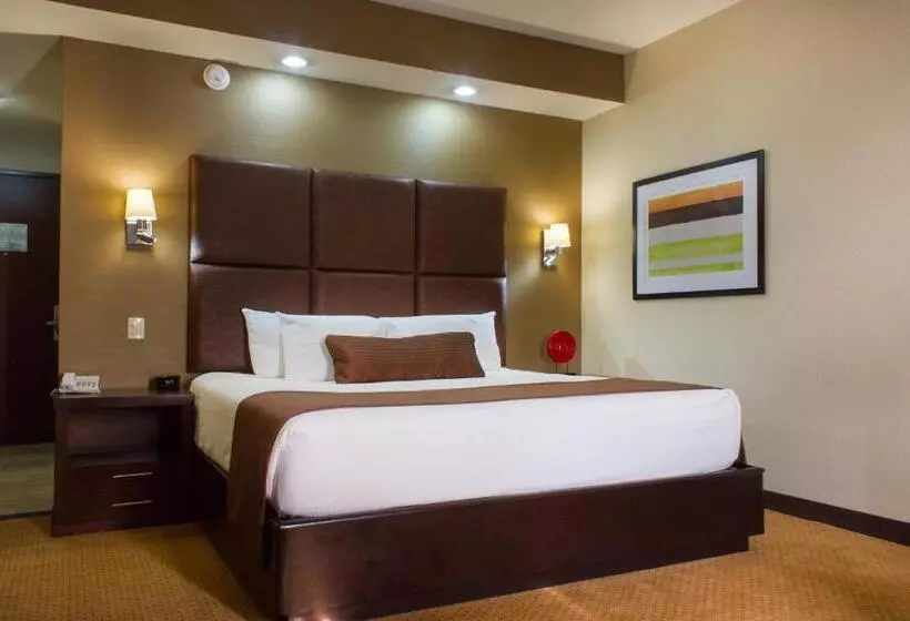 اتاق استاندارد با تخت بزرگ, Best Western Premier Monterrey Aeropuerto