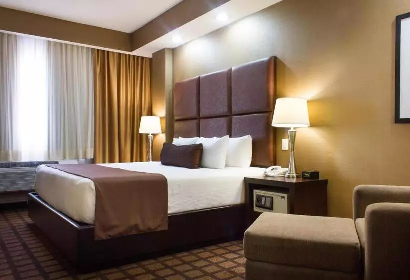 اتاق استاندارد با تخت بزرگ, Best Western Premier Monterrey Aeropuerto