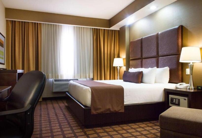 اتاق استاندارد با تخت بزرگ, Best Western Premier Monterrey Aeropuerto