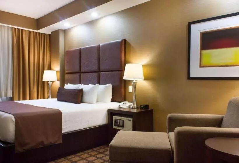اتاق استاندارد با تخت بزرگ, Best Western Premier Monterrey Aeropuerto