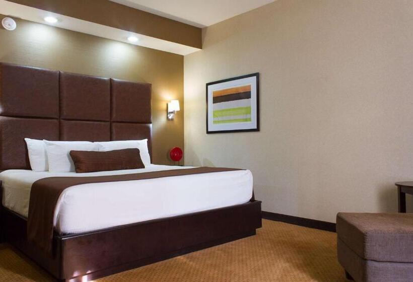 اتاق استاندارد با تخت بزرگ, Best Western Premier Monterrey Aeropuerto