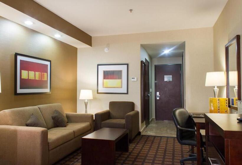 اتاق استاندارد با تخت بزرگ, Best Western Premier Monterrey Aeropuerto