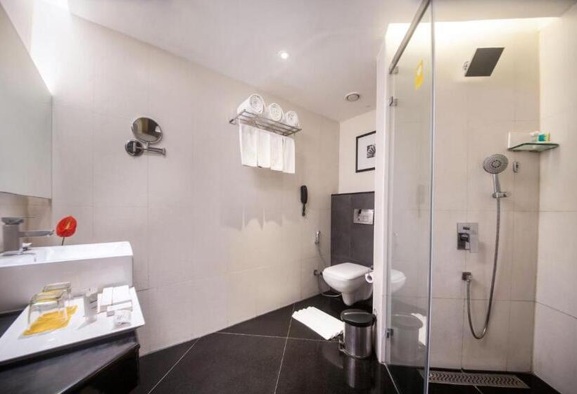 استودیوی استاندارد, Marigold