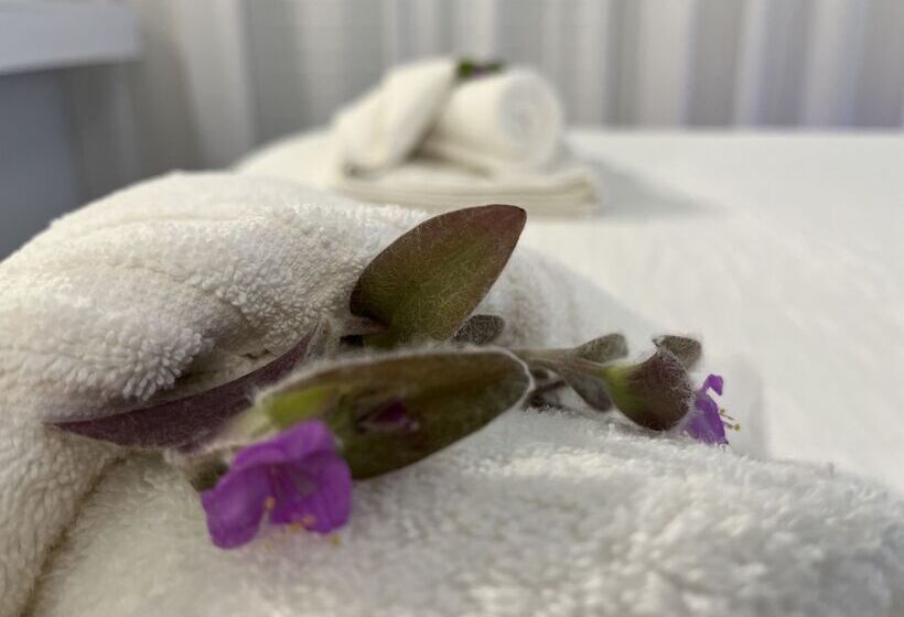 プールビュースタンダードステューディオ, Niriides