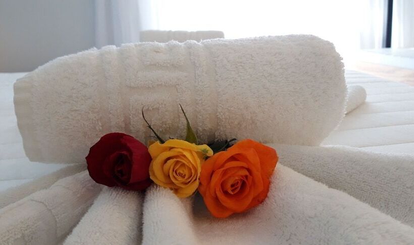 プールビュースタンダードステューディオ, Niriides