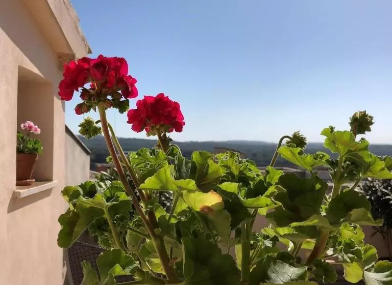 اتاق استاندارد با تراس, Vista De La Vila   Turismo De Interior