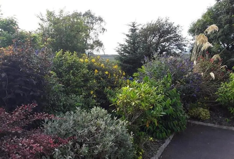 デラックスルーム, Ard Na Greine Bed & Breakfast Ballylickey
