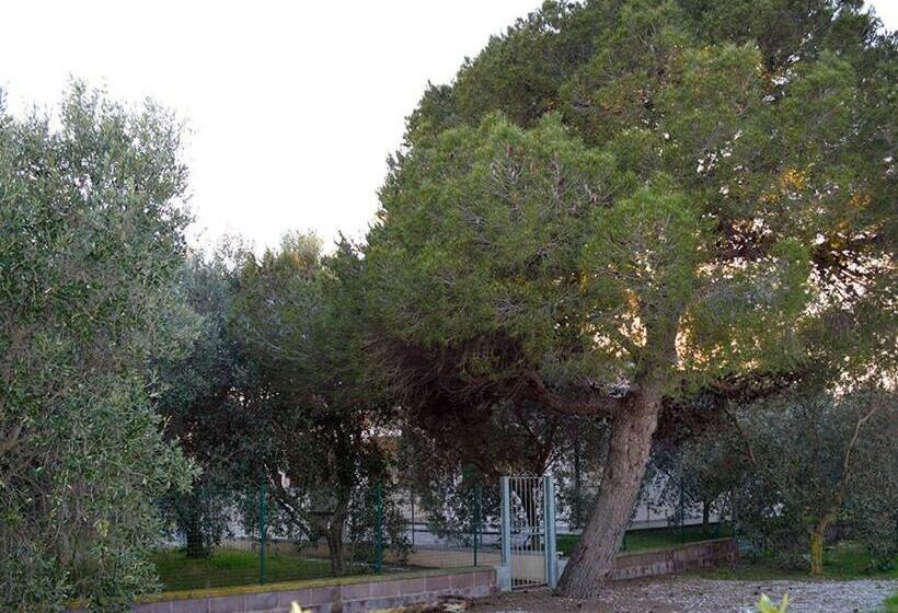 خانه 1 خوابه, Agriturismo Olivomare