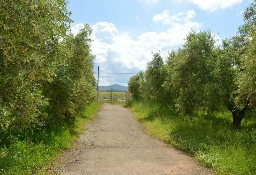 خانه 1 خوابه, Agriturismo Olivomare