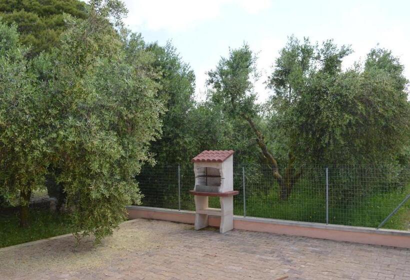 خانه 1 خوابه, Agriturismo Olivomare