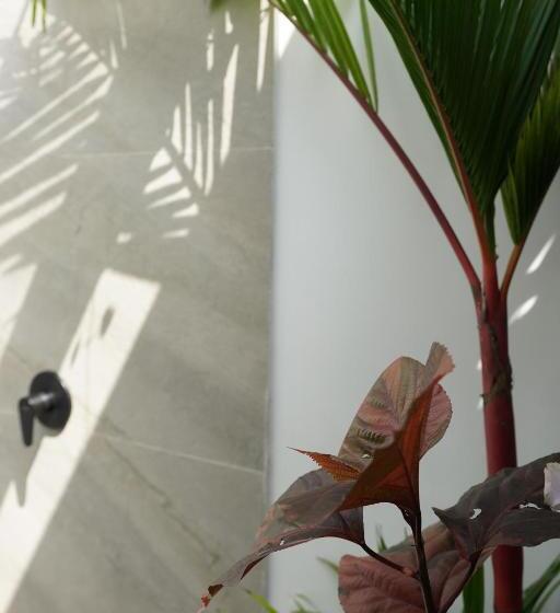 Номер Стандарт, Chalet El Castillo By Majuva