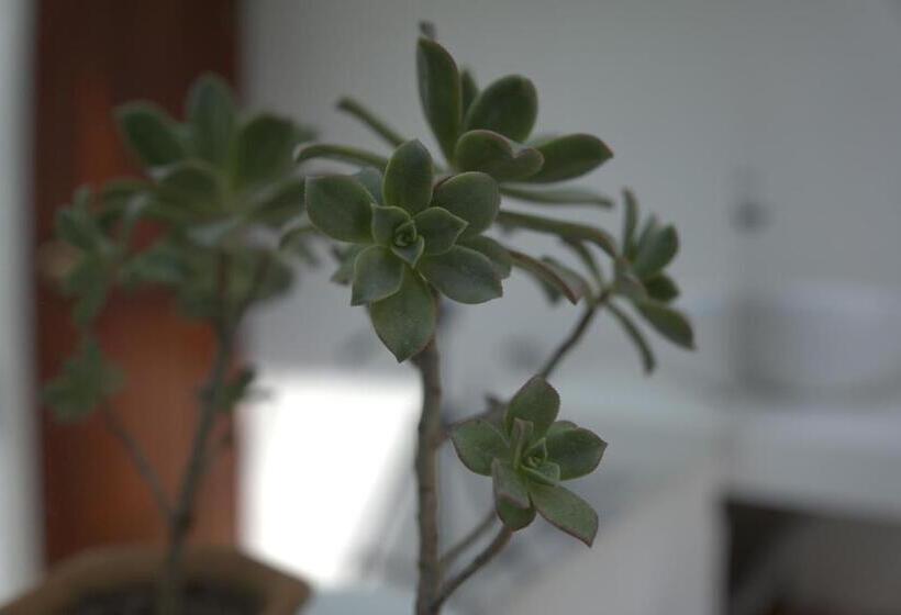 スタンダードルーム, Chalet El Castillo By Majuva