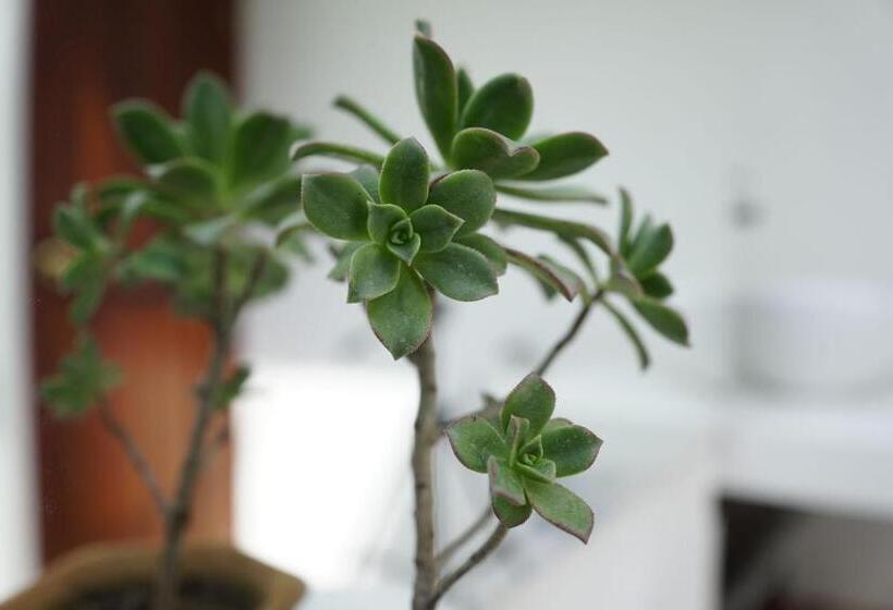 스탠다드 룸, Chalet El Castillo By Majuva