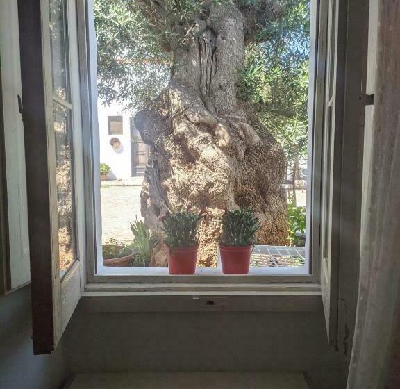 スタンダード4人部屋, Masseria Vagone