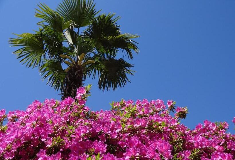 בית, 2 חדרי שינה, Residenza Paradiso Di Vacanze