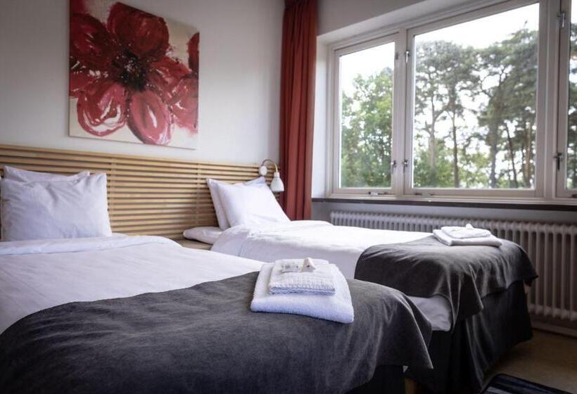 اتاق استاندارد چهار تخته, Miatorp Hotell
