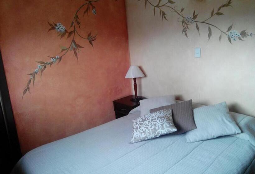 スタンダードルーム, Casa San Rafael