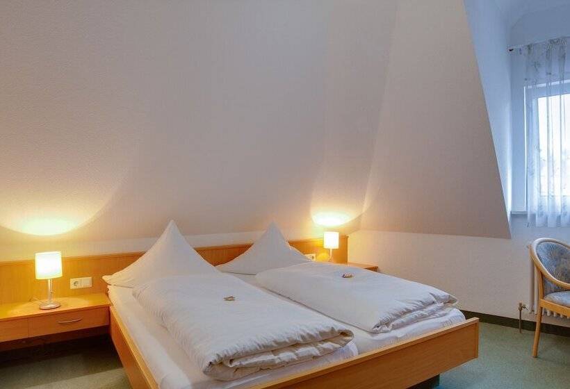 غرفة قياسية, Central Hotel Friedrichshafen