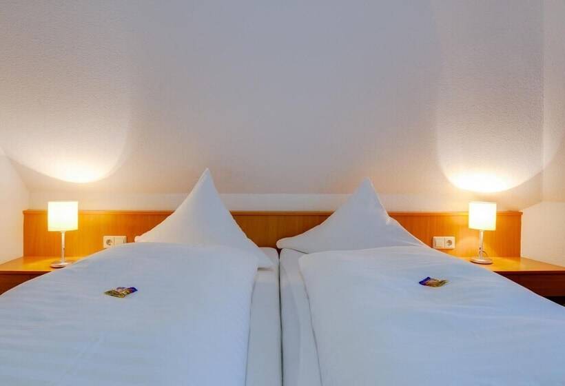 غرفة قياسية, Central Hotel Friedrichshafen