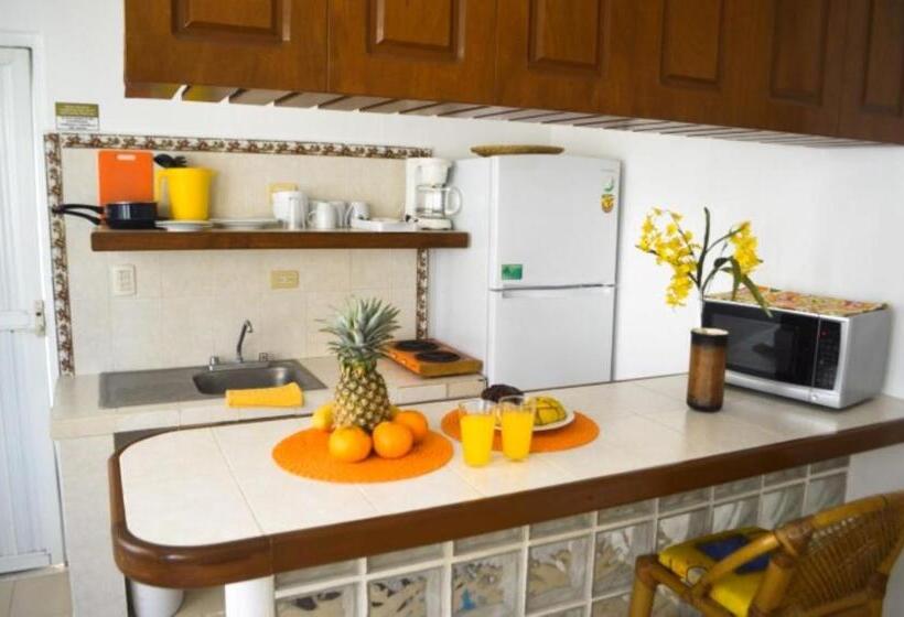 스탠다드 스튜디오 도시 전망, Arrecifes Suites