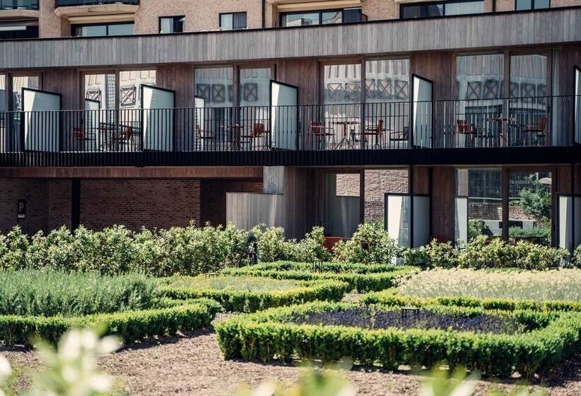 סוויטה משפחתית, Casino