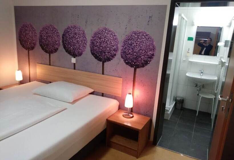 Номер Комфорт Индивидуальный, Ecoinn