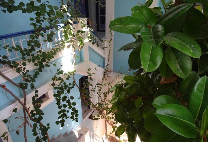 Escritório Estándar, Mariona