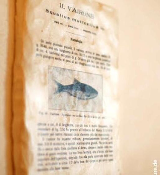 스탠다드 룸, Remat