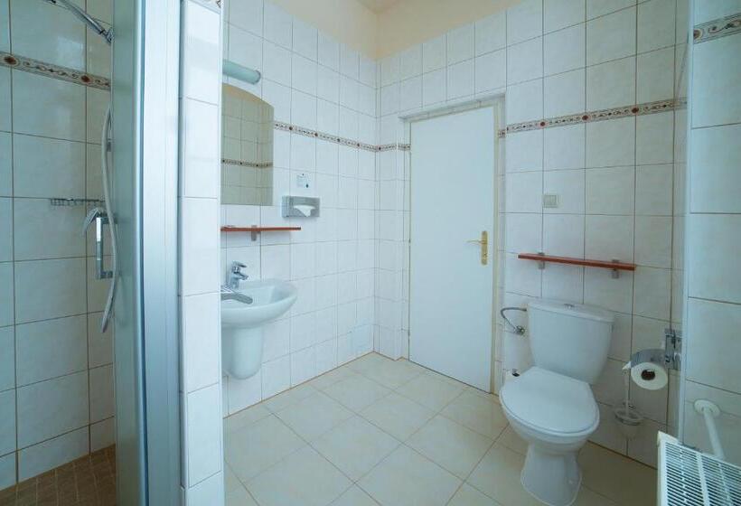 חדר סטנדרט יחיד, Spa Resort Pawlik Aquaforum