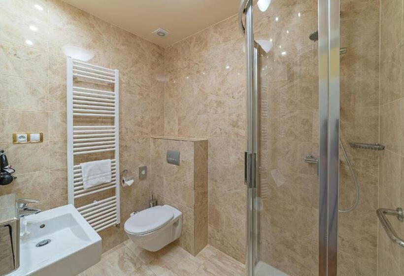 חדר קומפורט יחיד, Spa Resort Pawlik Aquaforum