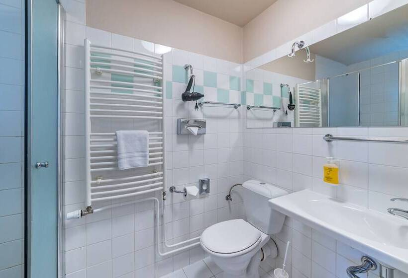 חדר קומפורט, Spa Resort Pawlik Aquaforum