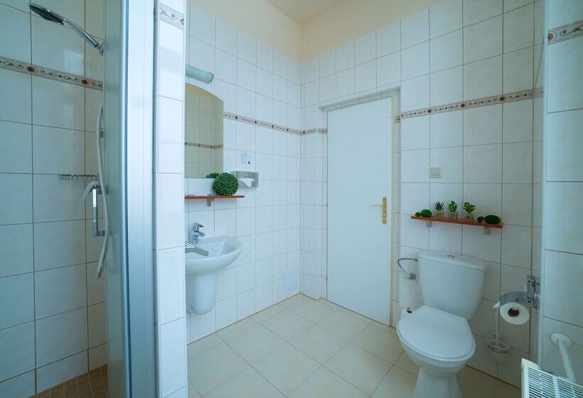 חדר סטנדרט יחיד, Spa Resort Pawlik Aquaforum