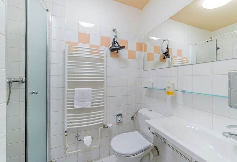 חדר סופריור יחיד, Spa Resort Pawlik Aquaforum