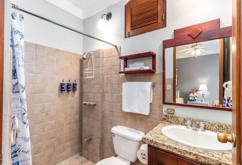 غرفة قياسية, Villa Del Sueno