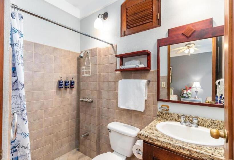 غرفة قياسية, Villa Del Sueno