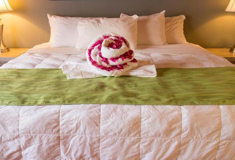 غرفة سوبيريور سرير كينج, Villa Del Sueno