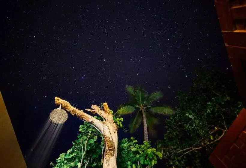 バンガローの２ベッドスタンダードルーム, Yasawa Island Resort