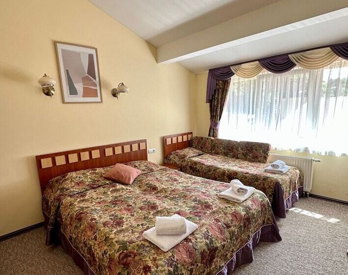 غرفة سوبيريور ثلاثية, Leotel