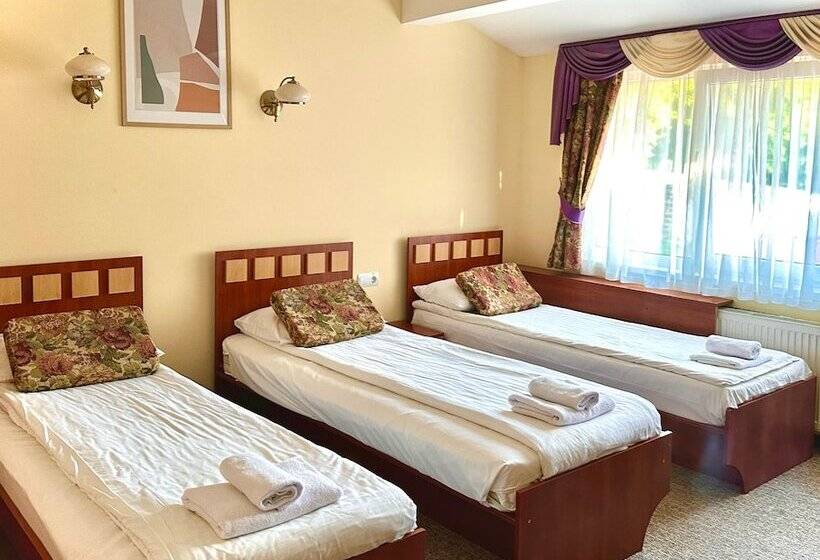 غرفة سوبيريور ثلاثية, Leotel