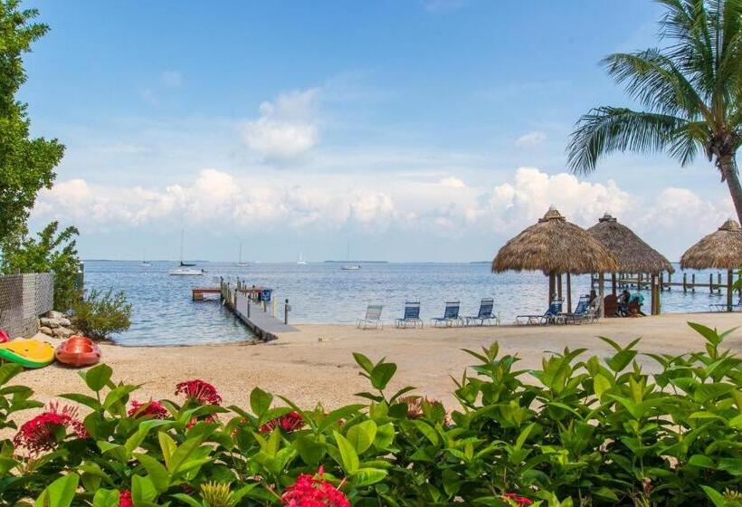 Suite, Sunset Cove Beach Resort