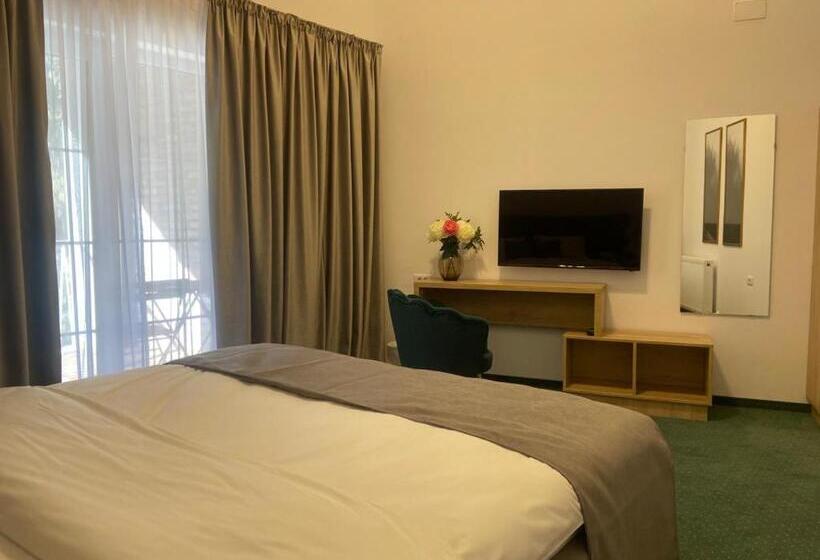 חדר סטנדרט, Pensiunea Sugag