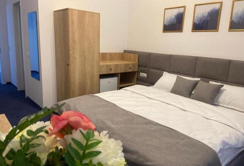 غرفة قياسية, Pensiunea Sugag