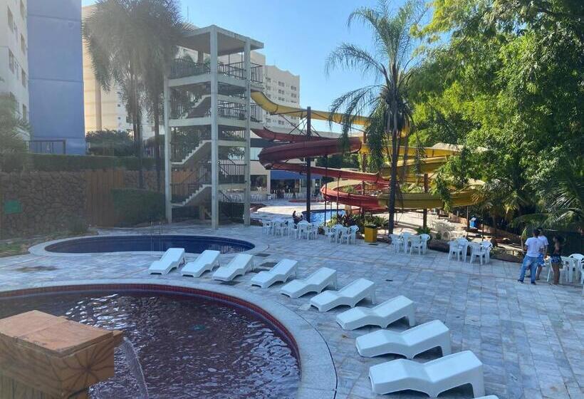 اتاق استاندارد, Golden Dolphin Grande