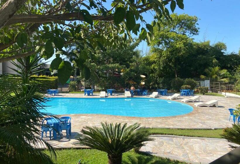 اتاق استاندارد, Golden Dolphin Grande