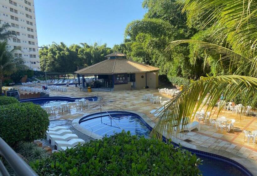 آپارتمان 1 خوابه, Golden Dolphin Grande